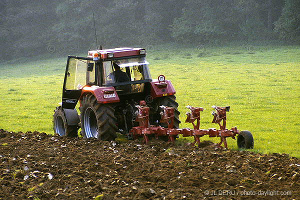 agriculture